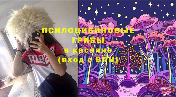 mix Пересвет