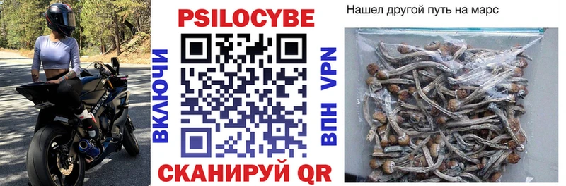 Галлюциногенные грибы Psilocybine cubensis  Сыктывкар 