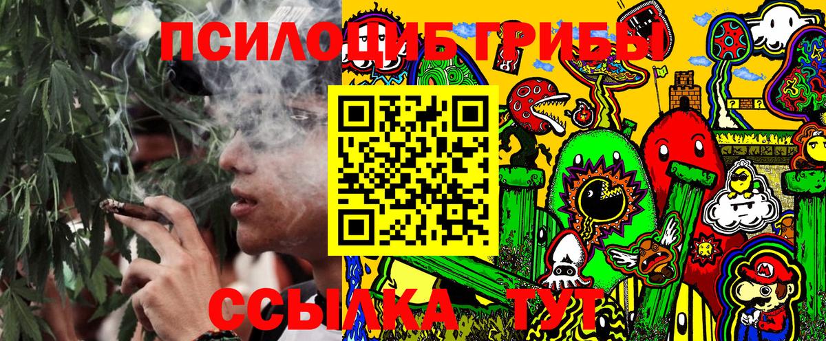 Галлюциногенные грибы MAGIC MUSHROOMS  Галлюциногенные грибы Psilocybe  Вход с VPN  купить   Сыктывкар 