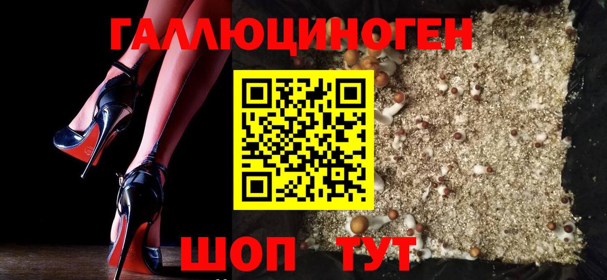 Галлюциногенные грибы Psilocybine cubensis Сыктывкар
