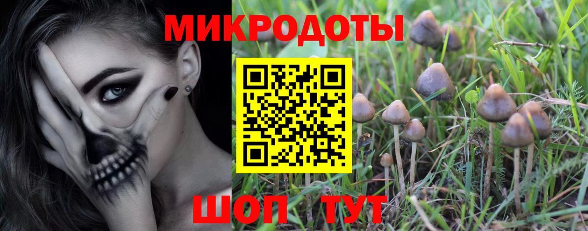 Галлюциногенные грибы GOLDEN TEACHER  Сыктывкар 